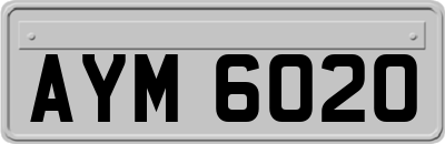 AYM6020