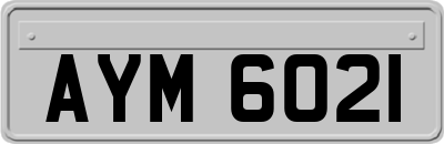 AYM6021