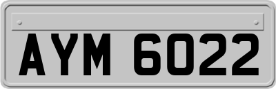 AYM6022