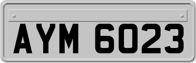 AYM6023
