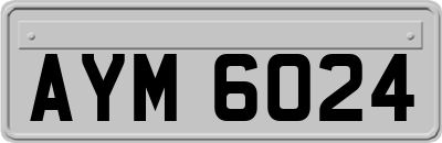 AYM6024