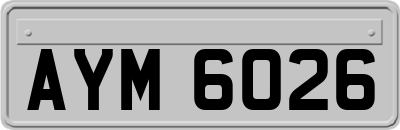 AYM6026