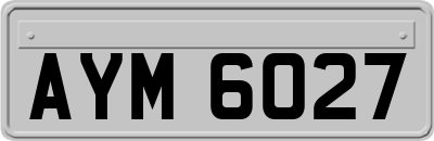 AYM6027