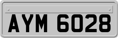 AYM6028