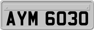 AYM6030