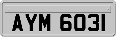 AYM6031