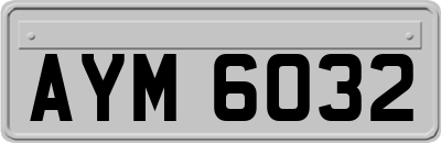 AYM6032