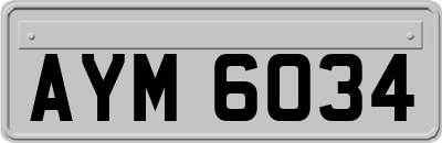 AYM6034