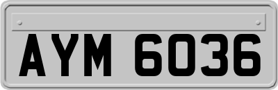 AYM6036