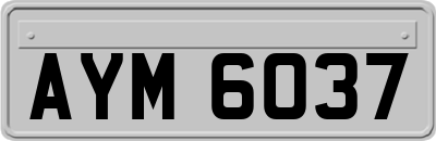 AYM6037
