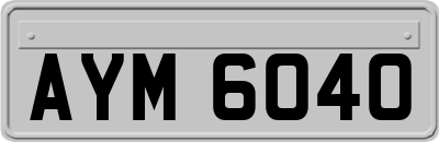 AYM6040