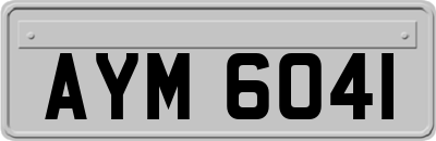 AYM6041