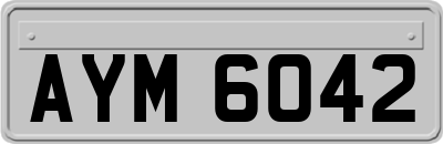 AYM6042