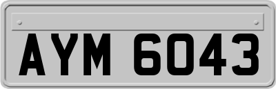 AYM6043