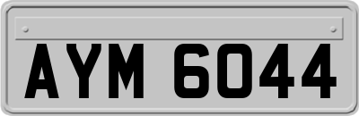 AYM6044