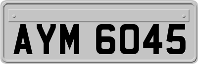 AYM6045