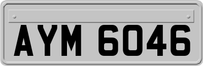 AYM6046