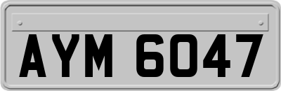 AYM6047
