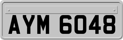 AYM6048