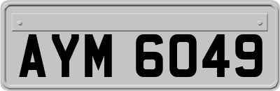 AYM6049
