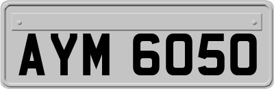 AYM6050