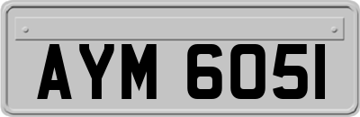 AYM6051