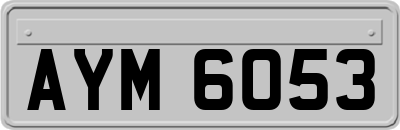 AYM6053