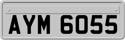 AYM6055
