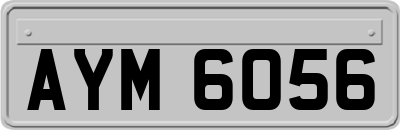 AYM6056