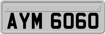 AYM6060