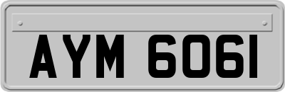 AYM6061