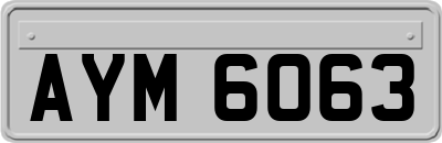 AYM6063