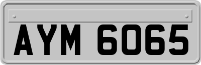 AYM6065