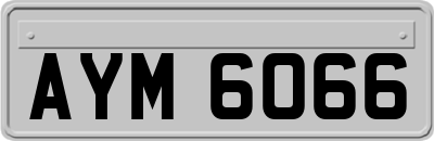 AYM6066