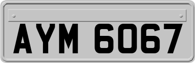 AYM6067