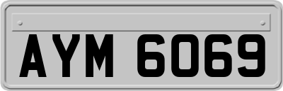 AYM6069