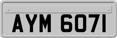 AYM6071