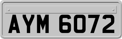 AYM6072