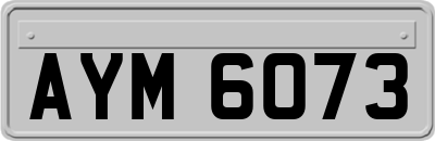 AYM6073
