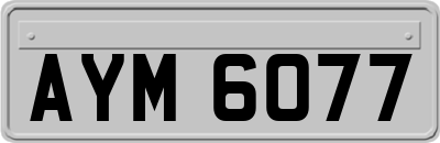 AYM6077