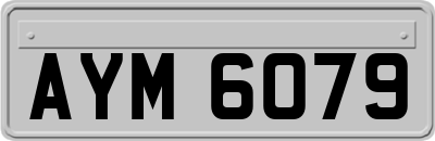 AYM6079