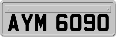 AYM6090