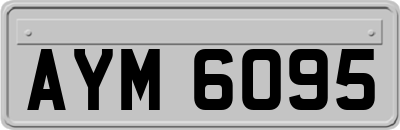 AYM6095