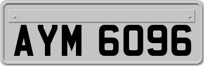 AYM6096