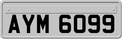 AYM6099