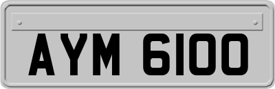 AYM6100