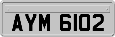 AYM6102