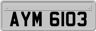 AYM6103
