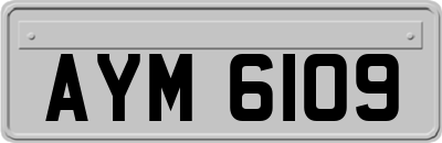 AYM6109