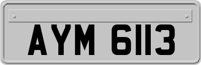 AYM6113